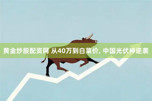 黄金炒股配资网 从40万到白菜价, 中国光伏神逆袭