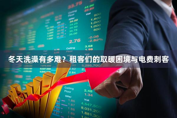 冬天洗澡有多难？租客们的取暖困境与电费刺客