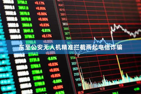 东至公安无人机精准拦截两起电信诈骗